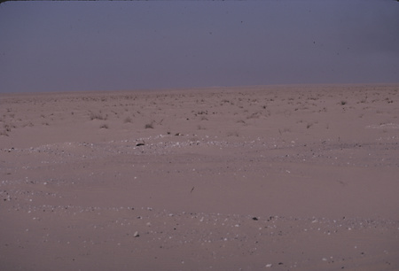 064_KW_2018 - I-1-20 - KM2018_0055