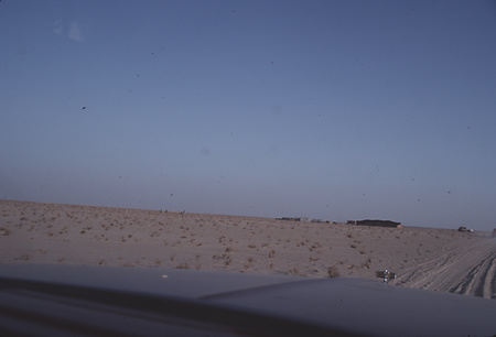 065_KW_2018 - II-81-100 - KM2018_0427