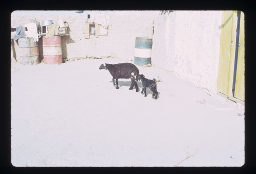 WF_08_11 - KM_2041