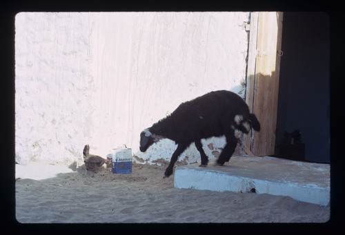 WF_08_09 - KM_2005