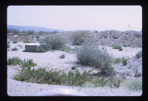 WF_02 - KM_0769