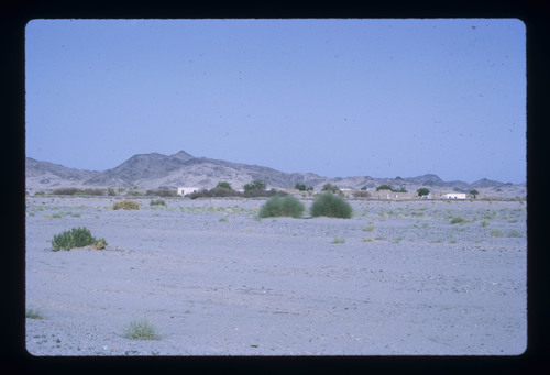 WF_02 - KM_0771