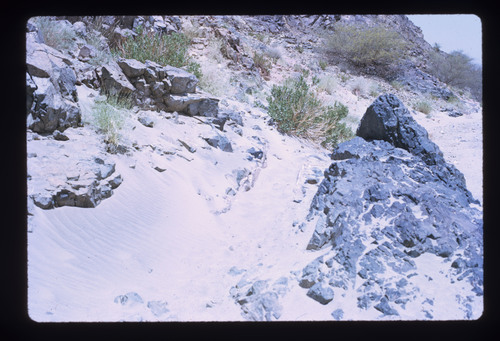 WF_02 - KM_0795
