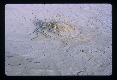 WF_02 - KM_0824