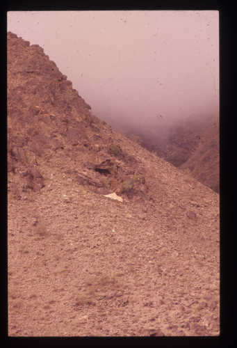 WF_01 - KM_0017