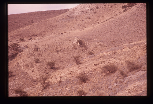 WF_01 - KM_0018