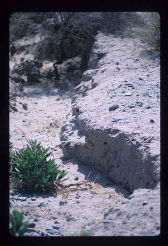 WF_01 - KM_0032
