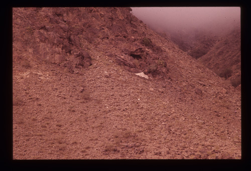 WF_01 - KM_0037