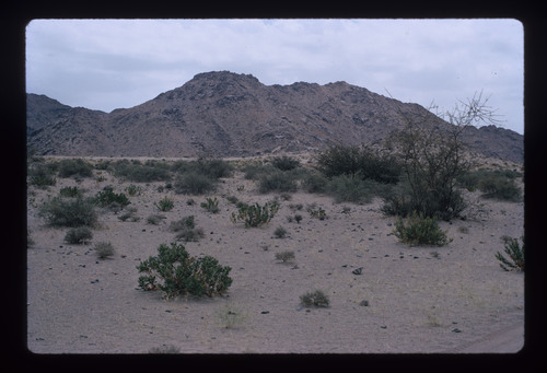 WF_01 - KM_0089