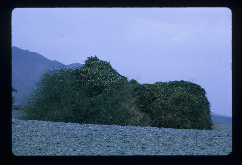 WF_01 - KM_0092