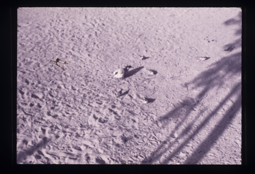 WF_01 - KM_0093