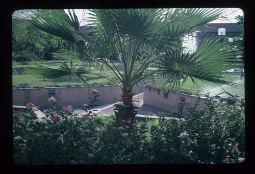 UAE_72 - KM_7451
