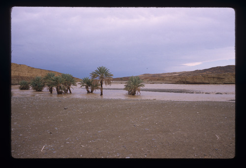 T_nomadism_13 - KM_0114
