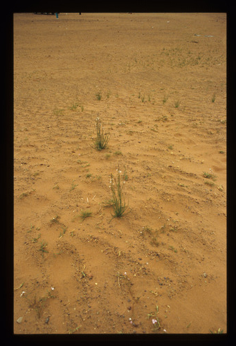SA_30 - KM_4365