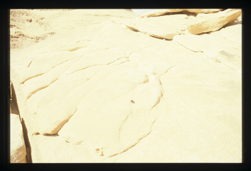 SA_30 - KM_4423