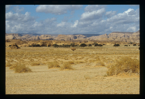 SA_30 - KM_4455