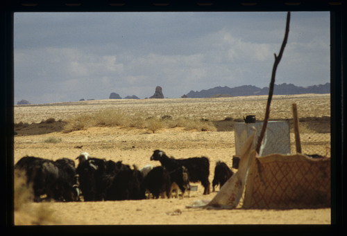 SA_30 - KM_4531