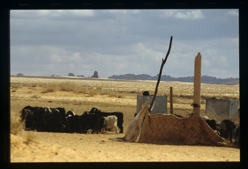 SA_30 - KM_4541