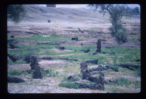 WF_TUR_08_03 - KM_1864
