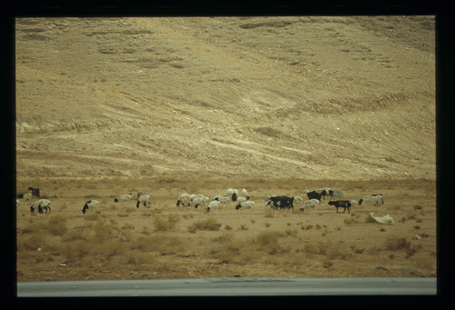 SA_27 - KM_4145