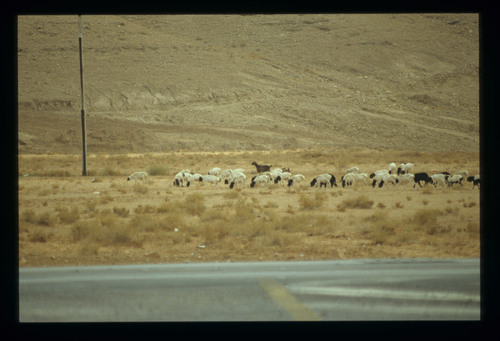 SA_27 - KM_4146