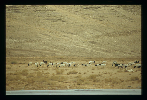 SA_27 - KM_4147
