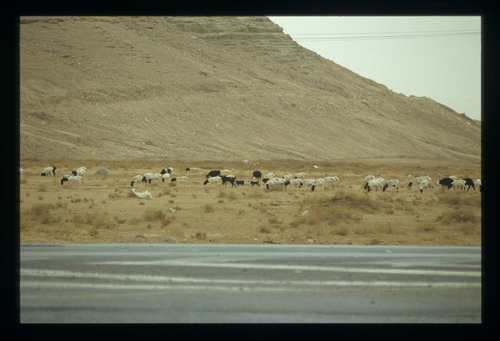 SA_27 - KM_4149