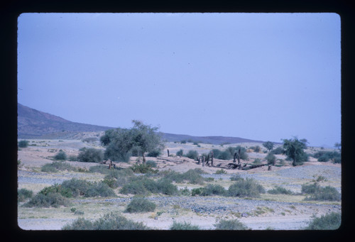 WF_TUR_08_03 - KM_1865