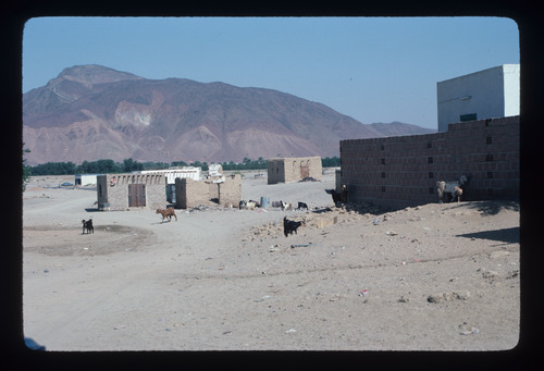 SA_25 - KM_1552