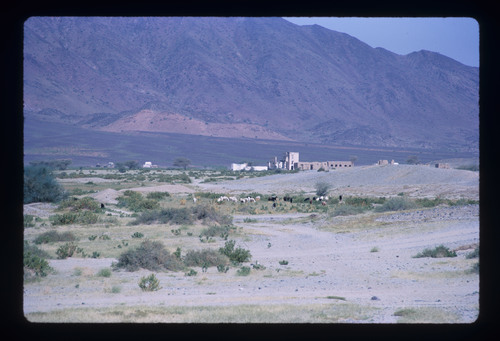WF_TUR_08_03 - KM_1866