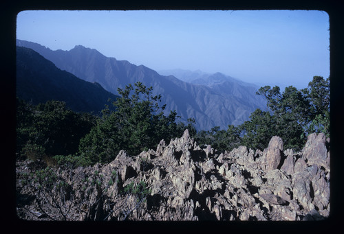 SA_234 - KM_6495