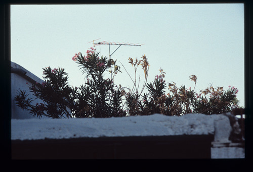 WF_26 - KM_3536