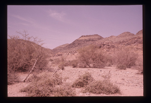 SA_234 - KM_6504