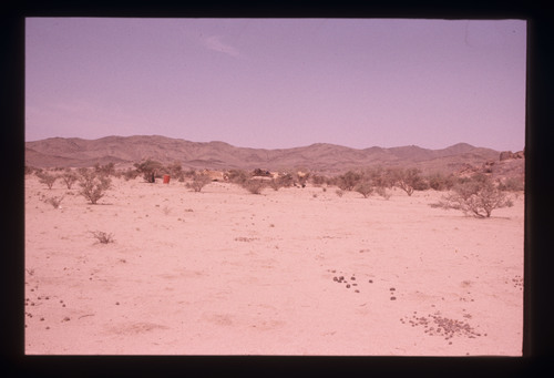 SA_234 - KM_6508