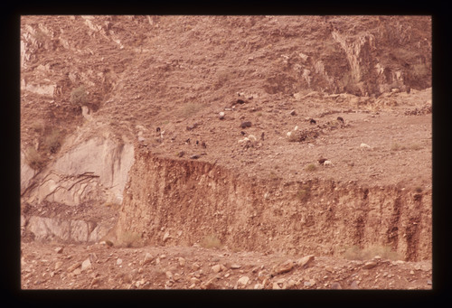 SA_234 - KM_6548