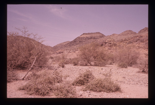 SA_234 - KM_6555