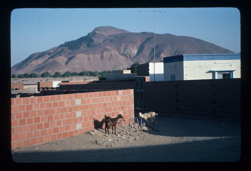 SA_23 - KM_1012