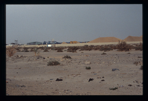 WF_26 - KM_3562
