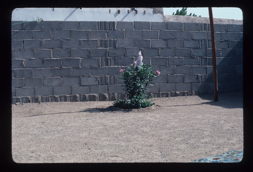 SA_23 - KM_1056