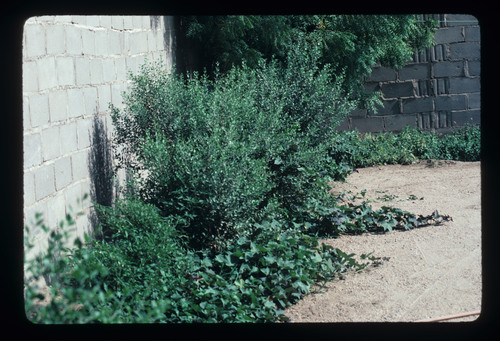 SA_23 - KM_1057