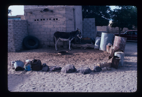SA_22 - KM_1195