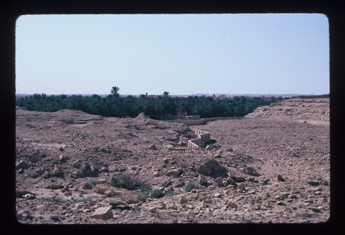 SA_22 - KM_1237