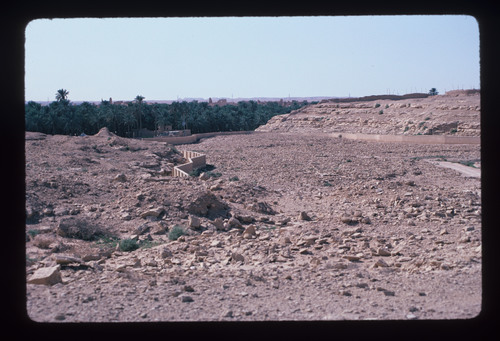SA_22 - KM_1238