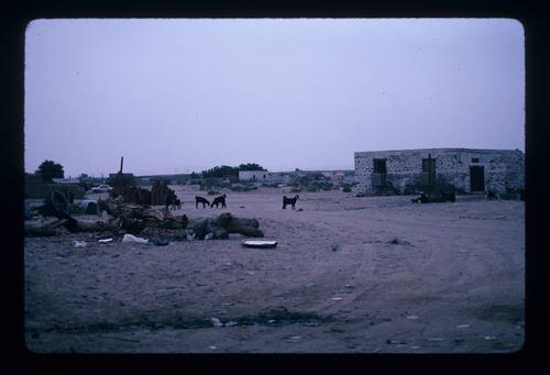 SA_22 - KM_1282