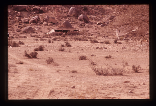 SA_21 - KM_3974
