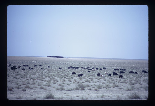 SA_21 - KM_3978