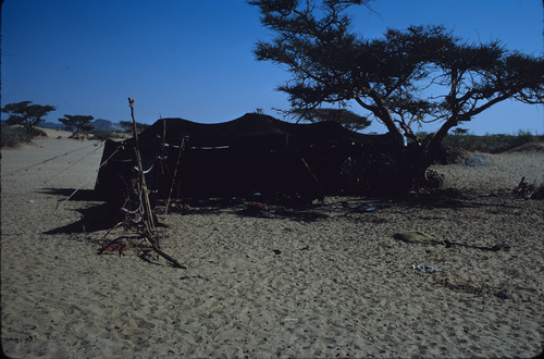 SA_12 - KM_0577
