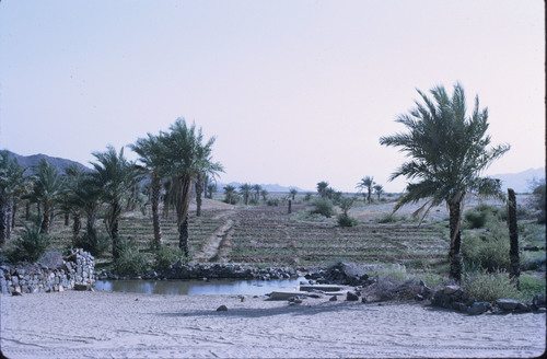 SA_12 - KM_0615