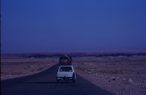 SA_12 - KM_0654