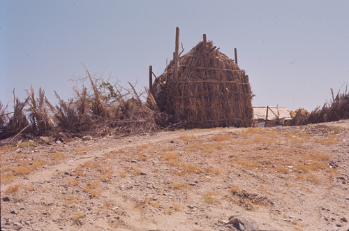 SA_12 - KM_0699